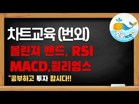 [멤버쉽차트교육] 공개!! 볼리져밴드, RIS,MACD,윌리엄스 차트교육 #비트코인 #차트교육 #오뽀가디언