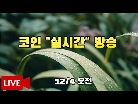12월4일 오전방송 코인이영수 코인실시간방송 비트코인방송 말보다 실력으로! 현물/선물 매매