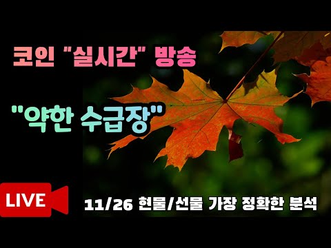 11월26일 오후 코인이영수 비트코인실시간방송 말보다 실력으로! 현물/선물 매매
