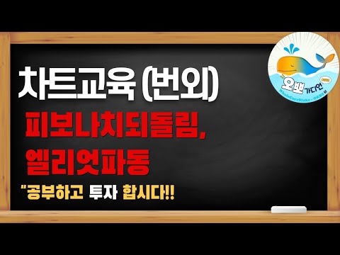 [멤버쉽차트교육] 공개.. 피보나치되돌림, 엘리엇파동 알아보기 #차트교육 #비트코인 #오뽀가디언