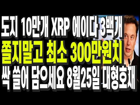비트코인 리플 도지코인 이더리움 도지 10만개 XRP <b class=