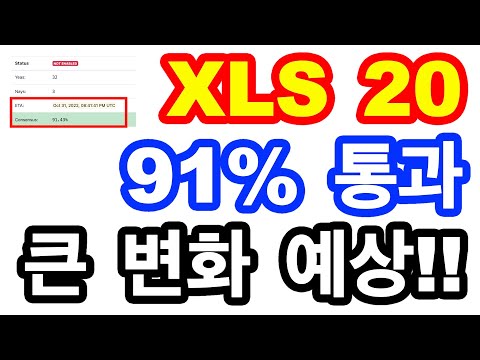 XLS-20 토큰 91% 통과! 큰 변화 예상!